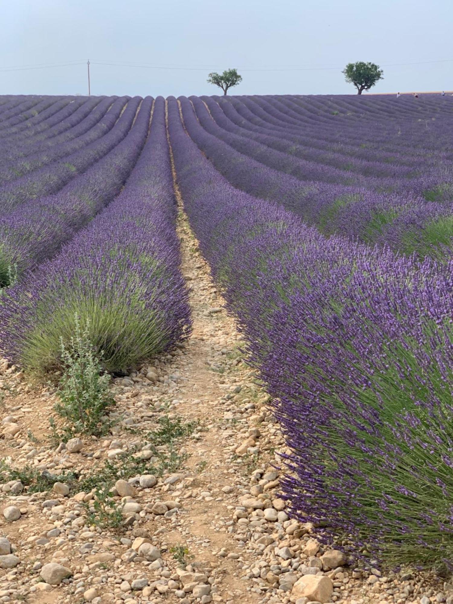 Studios Nuitee En Provence エクス＝アン＝プロヴァンス エクステリア 写真