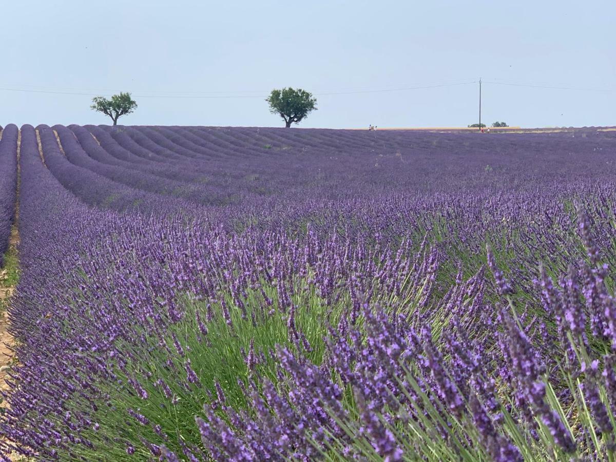 Studios Nuitee En Provence エクス＝アン＝プロヴァンス エクステリア 写真